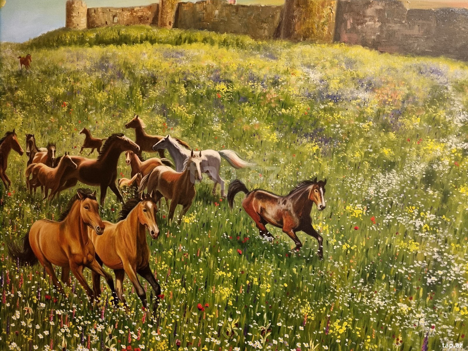 Tablo Şuşada Qarabağ atları  (5)