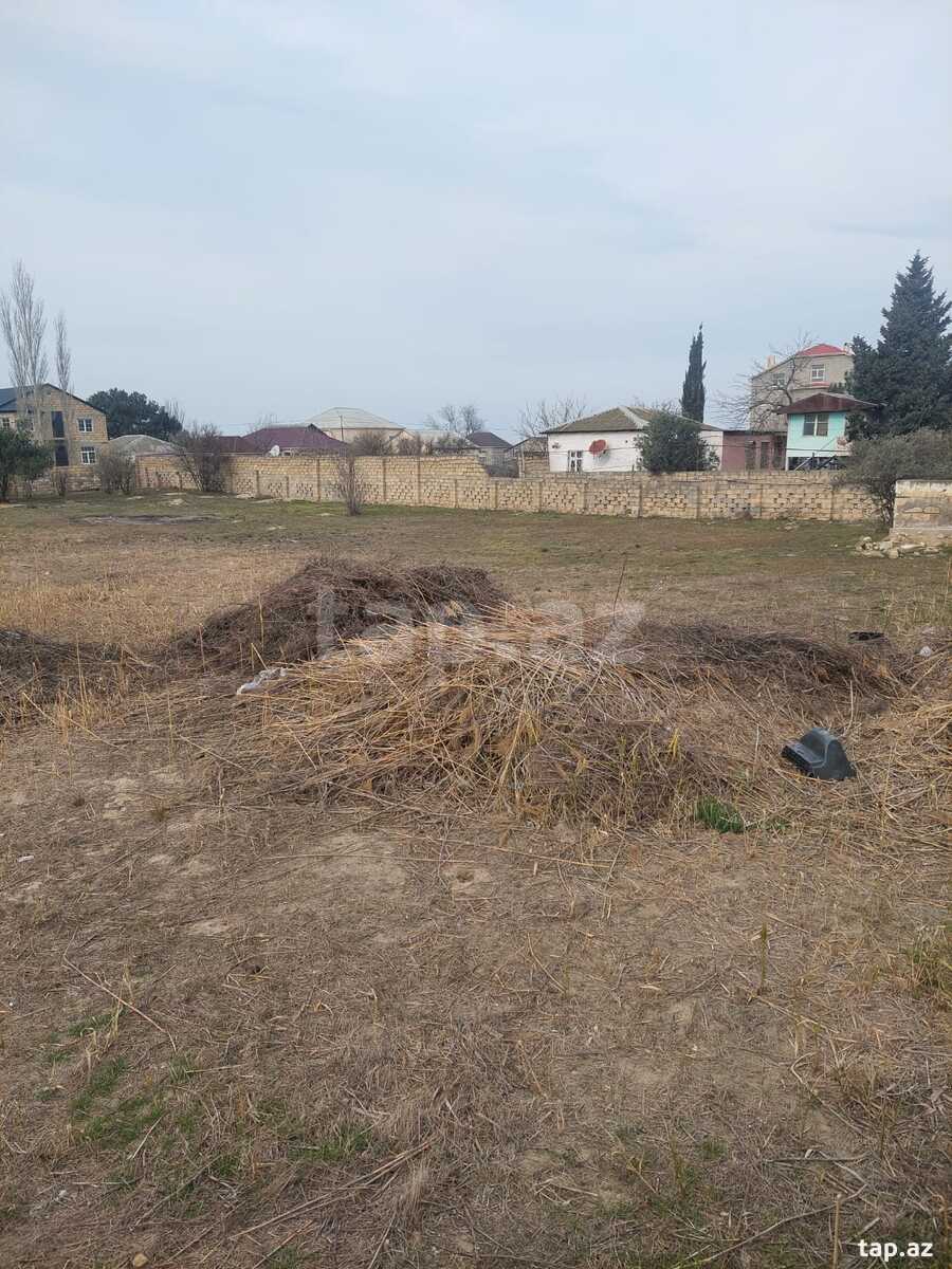 Torpaq satılır, Sumqayıt
