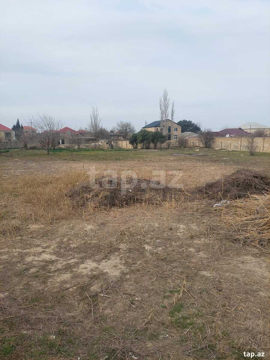 Torpaq satılır, Sumqayıt