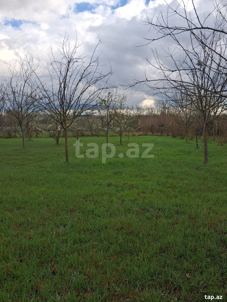 Torpaq satılır, Qəbələ