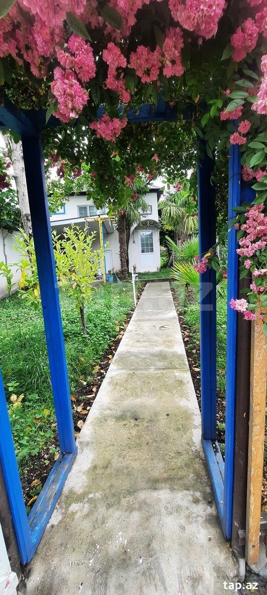 Həyət evi kirayə verilir, Zaqatala ş. (9)