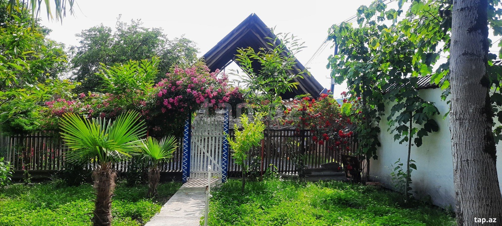 Həyət evi kirayə verilir, Zaqatala ş. (10)