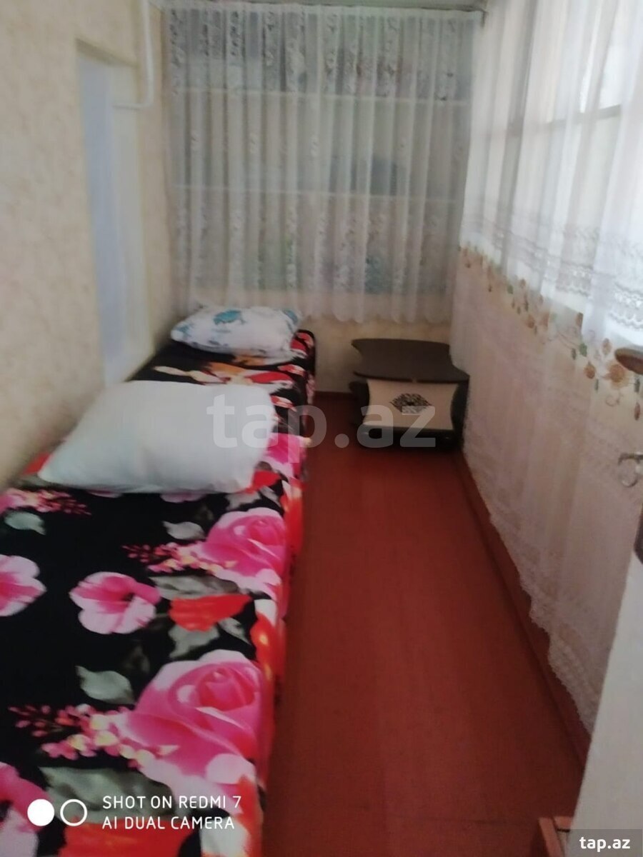 Həyət evi kirayə verilir, Şəki ş.