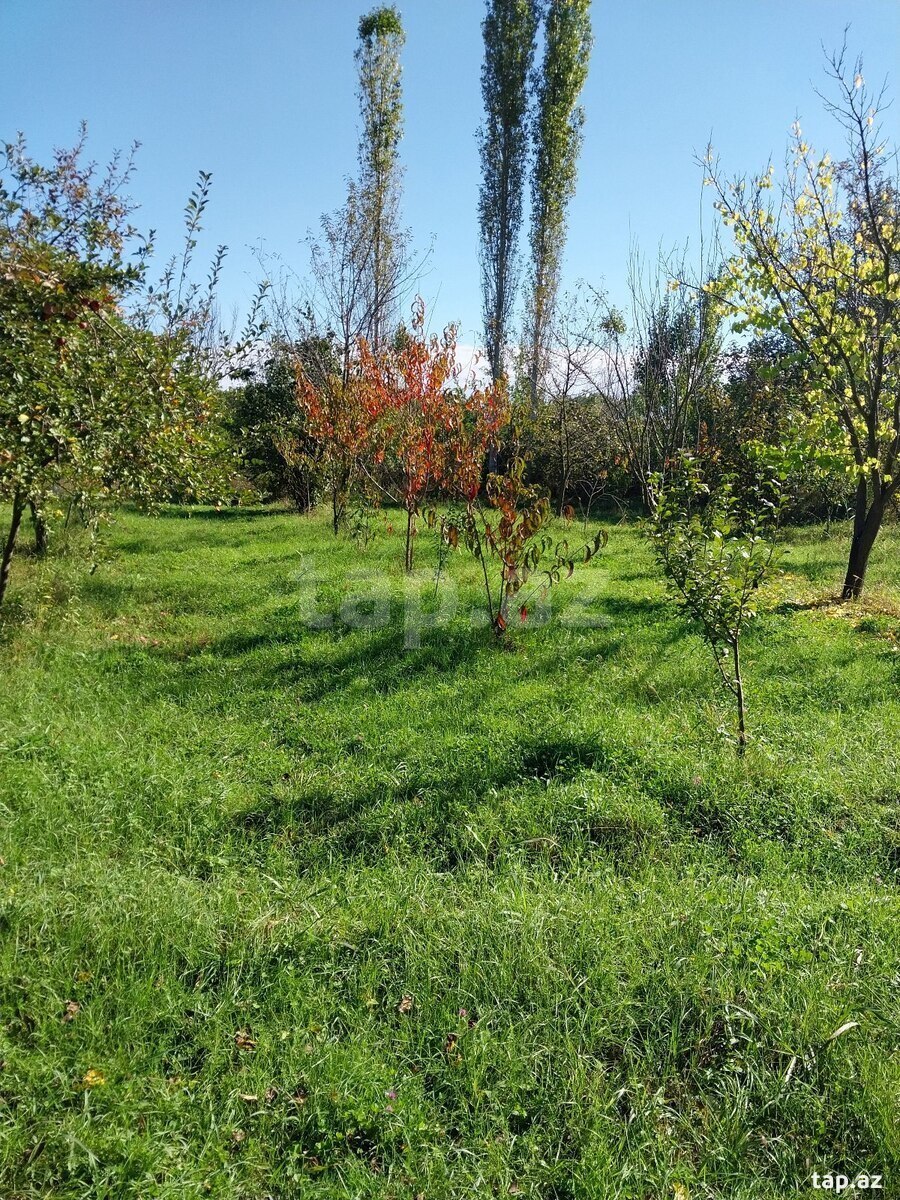 Həyət evi, Xudat ş.
