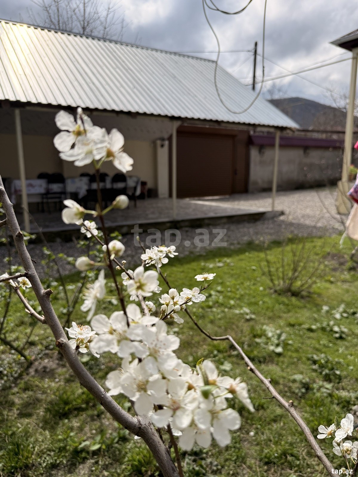 Bağ evi kirayə verilir, Quba r. (16)