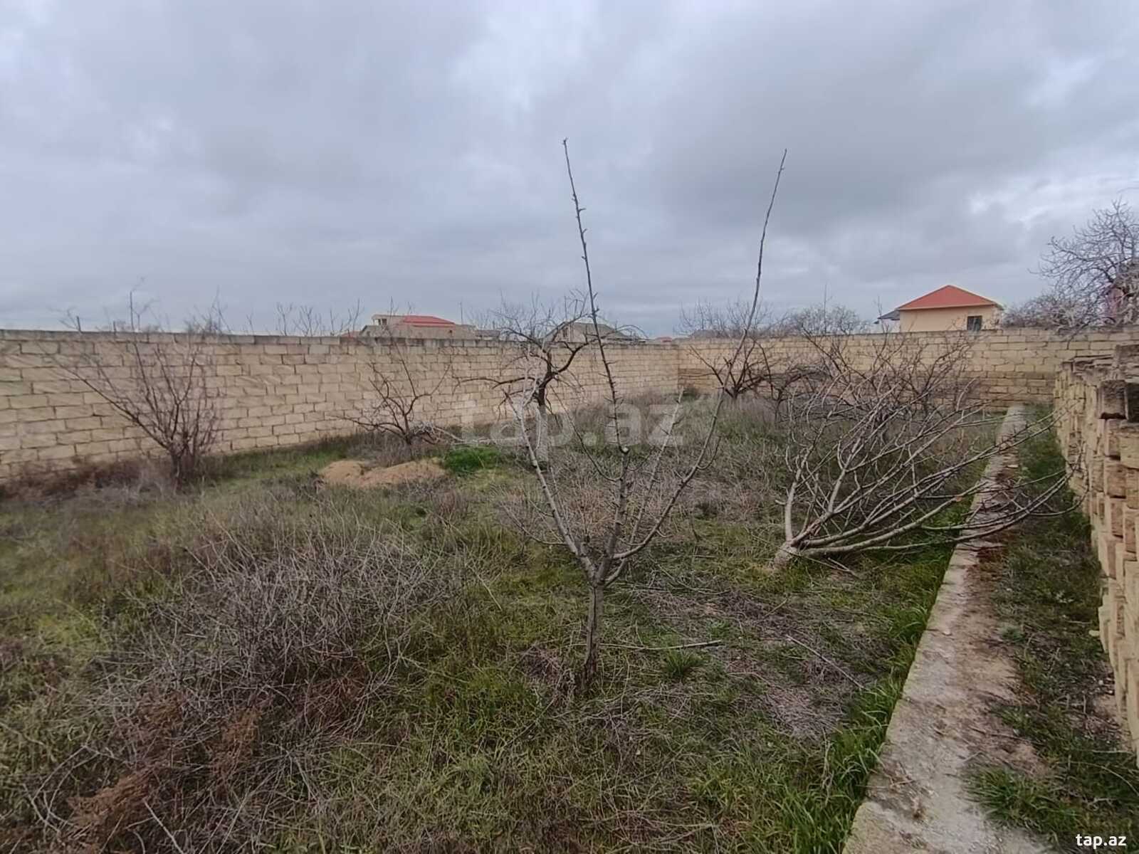 3 sot torpaq sahəsi, Masazır qəs.