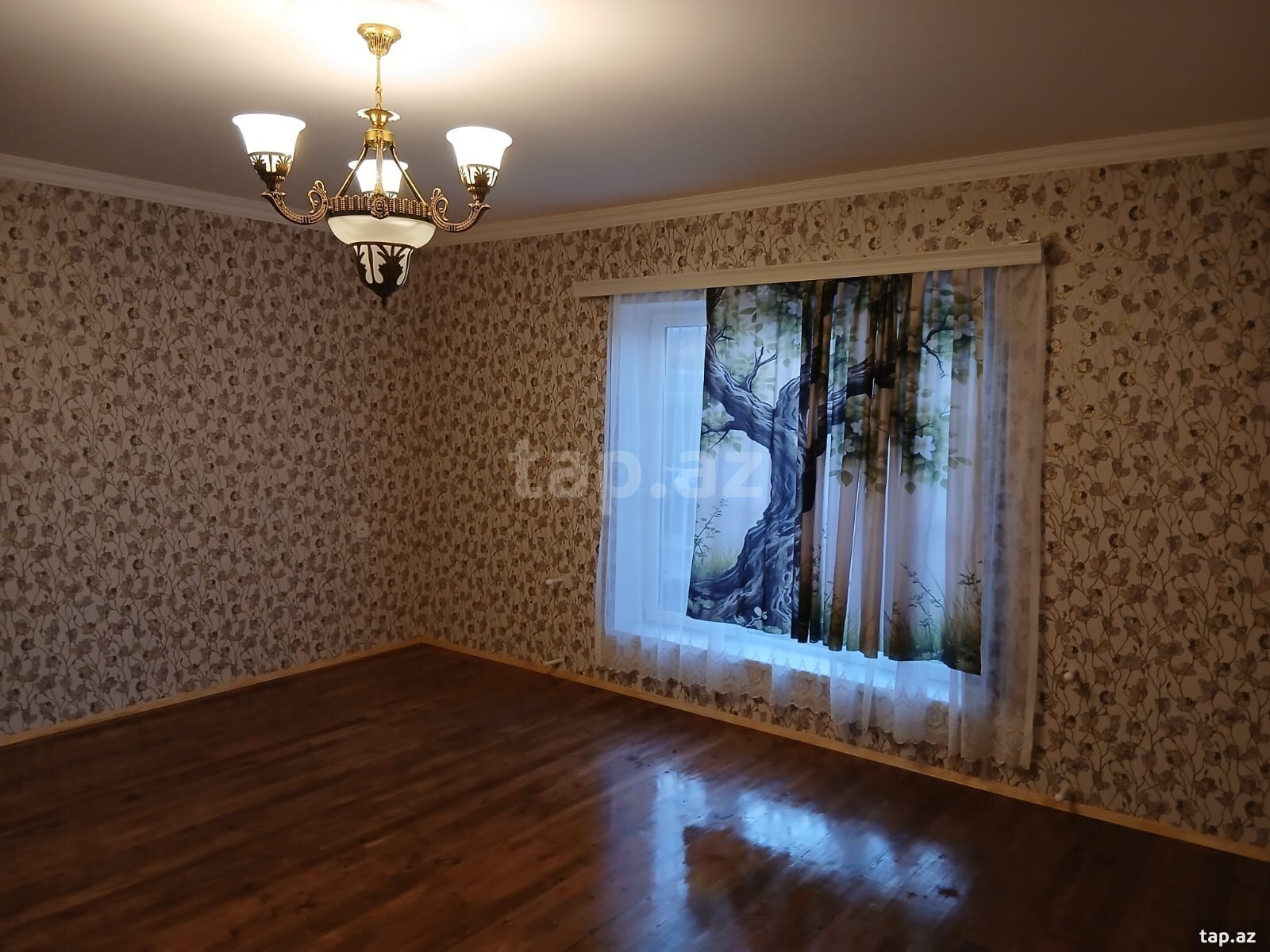 Villa, Albalılıq qəs. (24)