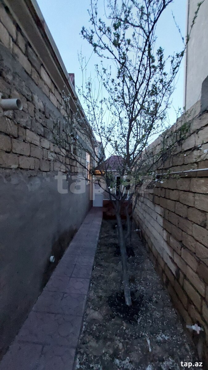 Həyət evi, Masazır qəs. (23)