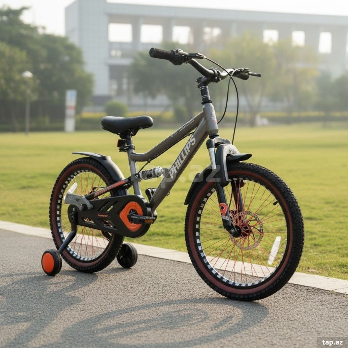  Velosiped Philips P-138 (5)