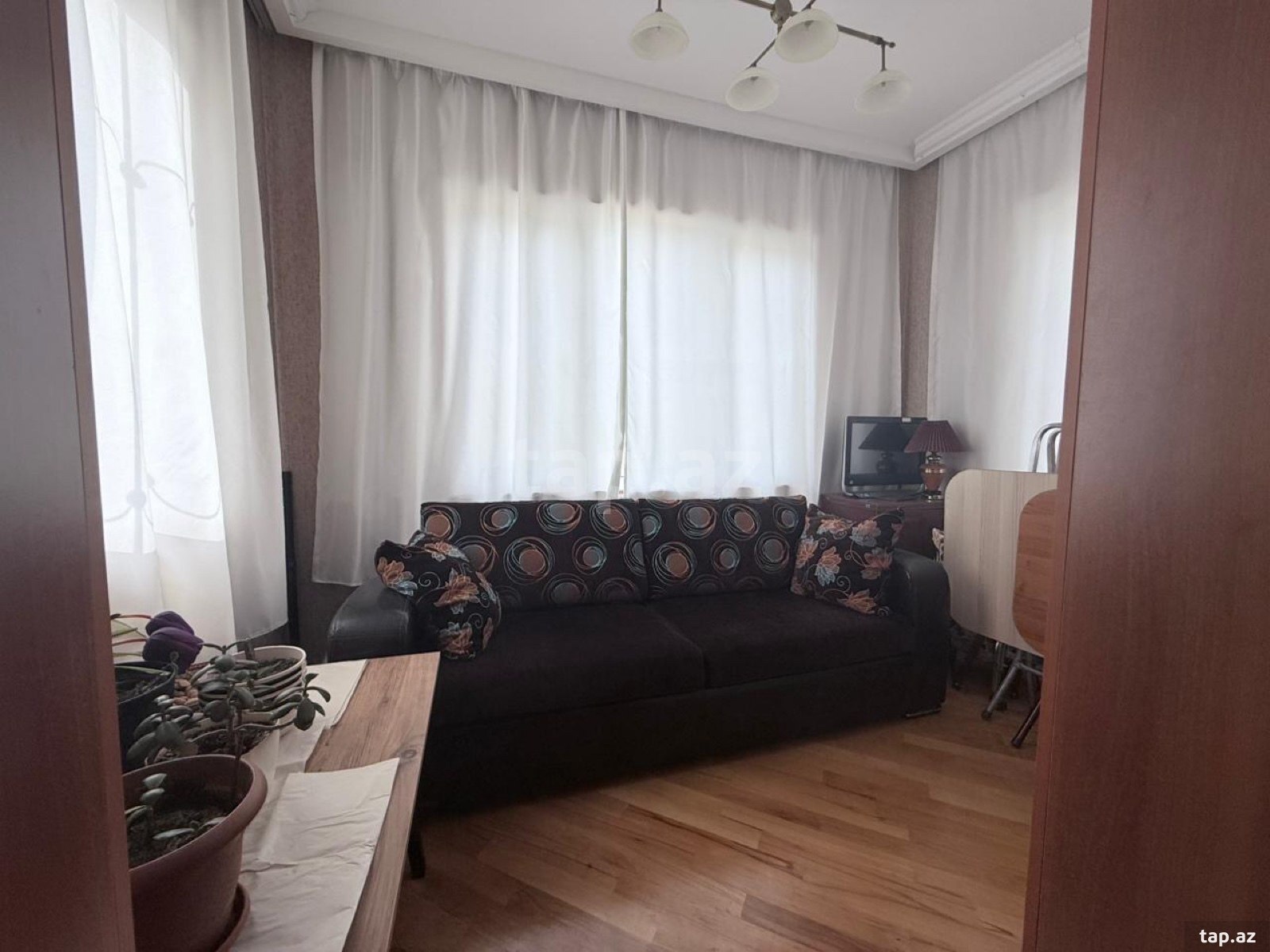 Bağ evi, Novxanı qəs. (8)