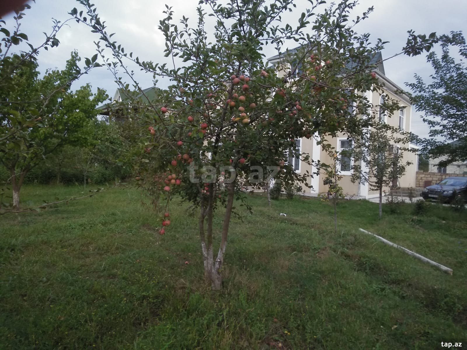 Həyət evi, Xudat ş.