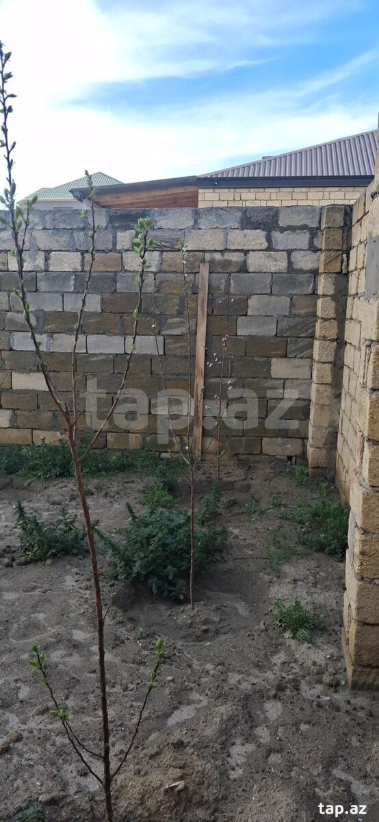 Həyət evi, Saray qəs. (25)