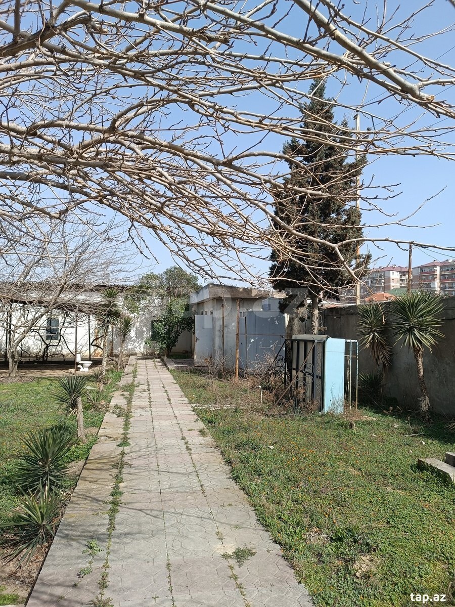 Obyekt icarəyə verilir, Binəqədi-Novxani yolu (13)