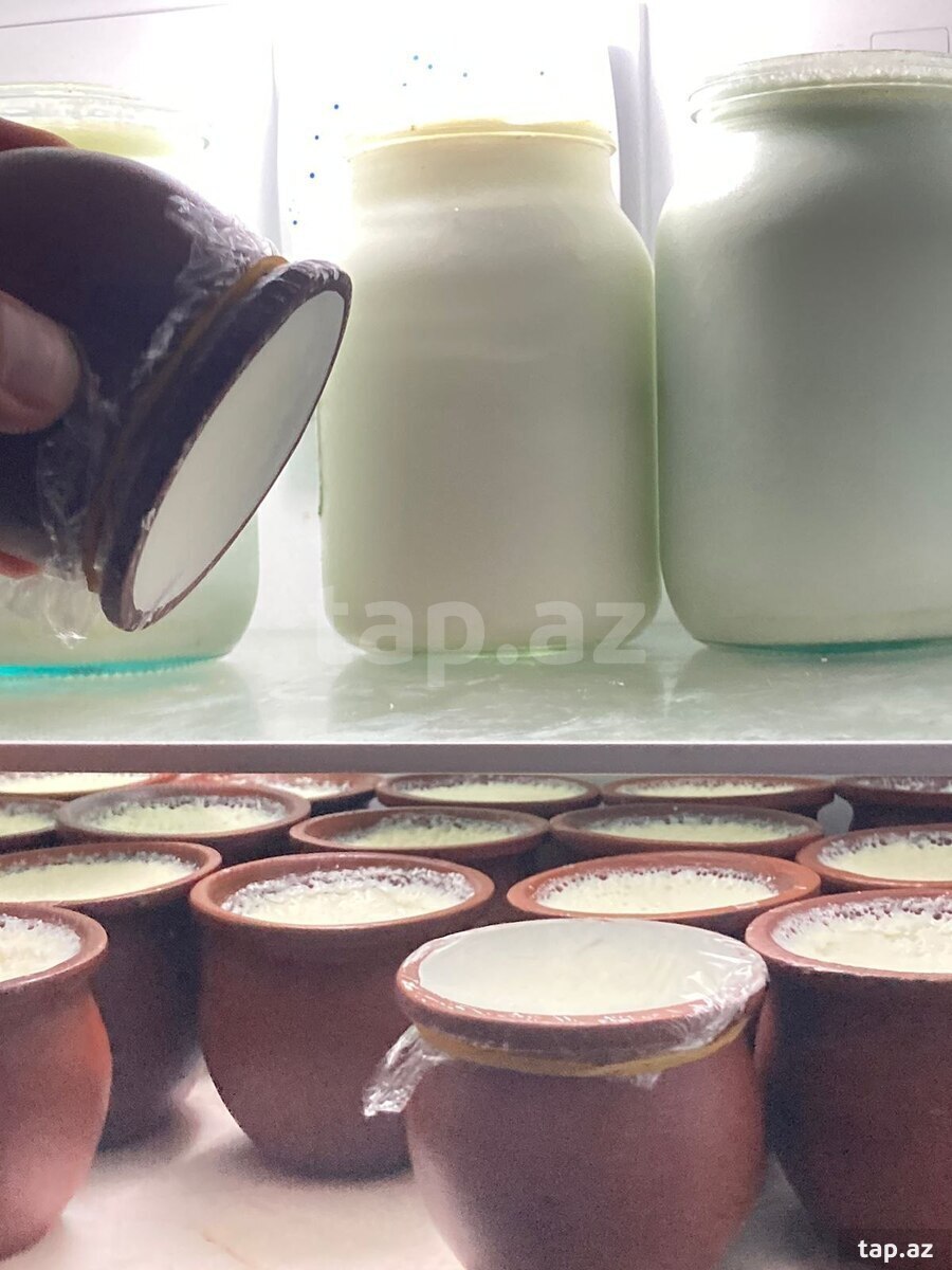 Süd məhsulları (3)