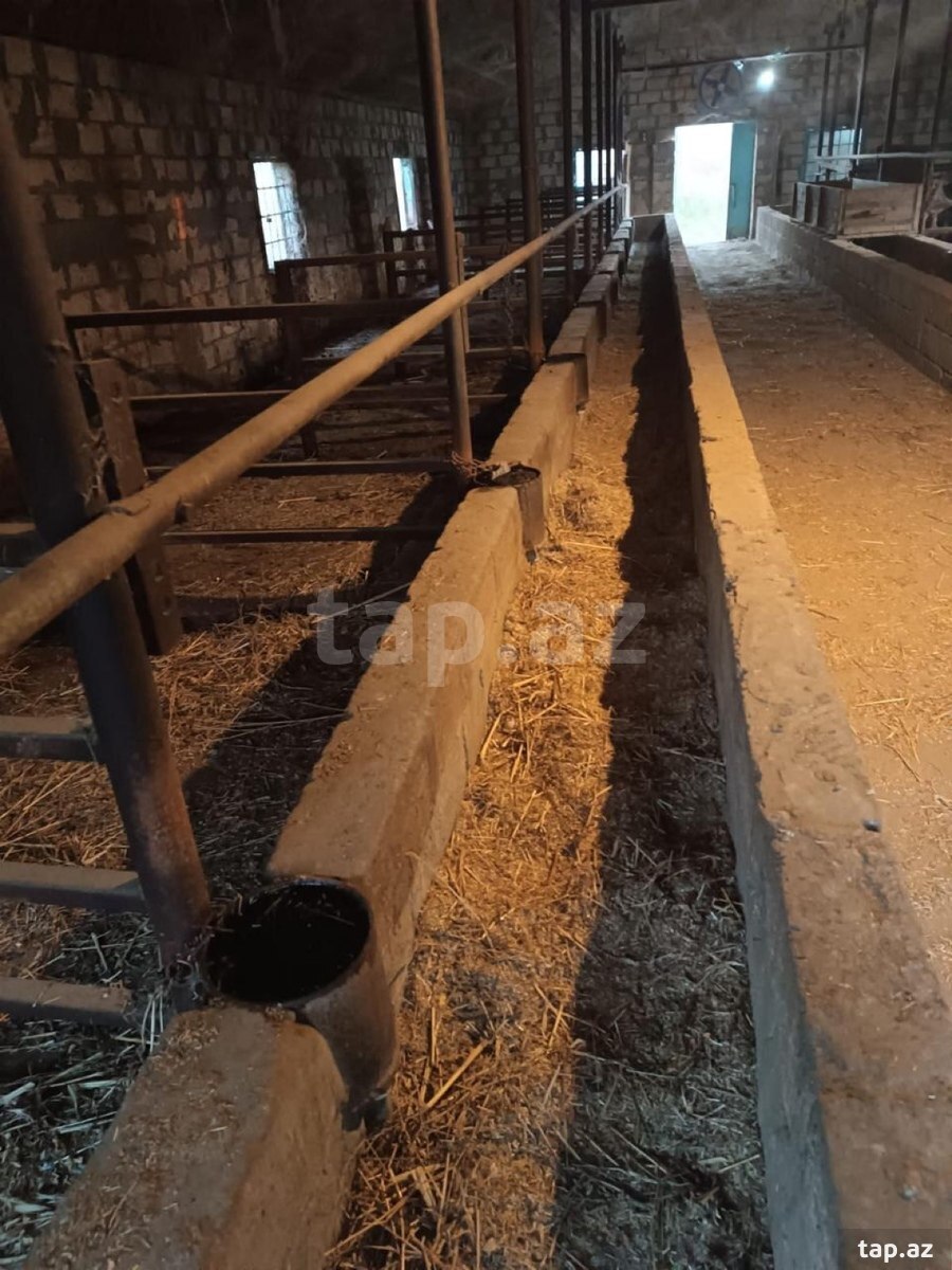 Həyət evi, İmişli r.