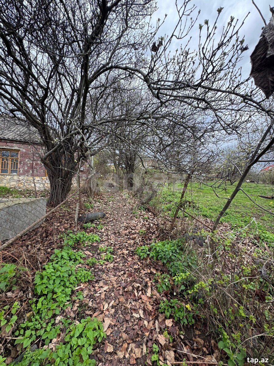 3 sot torpaq sahəsi, Göygöl r. (3)
