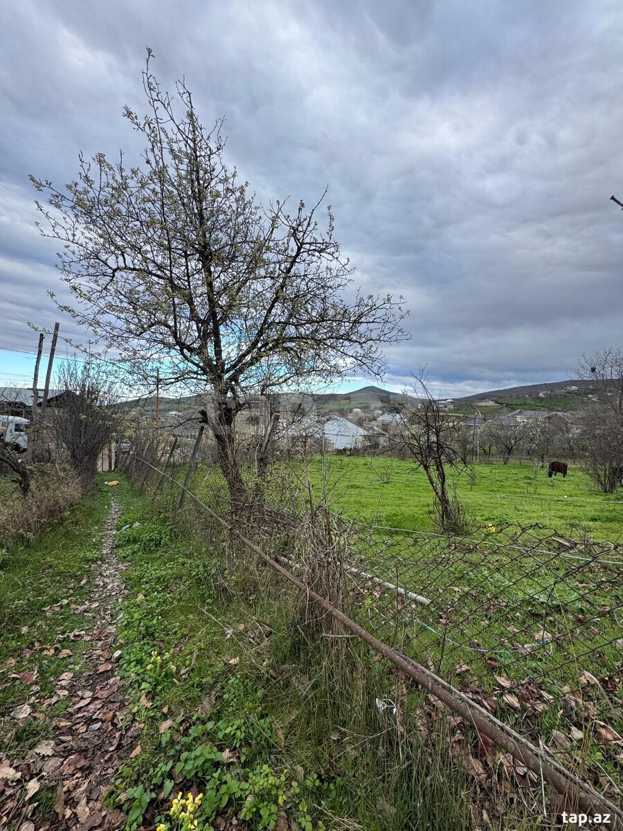 3 sot torpaq sahəsi, Göygöl r. (4)