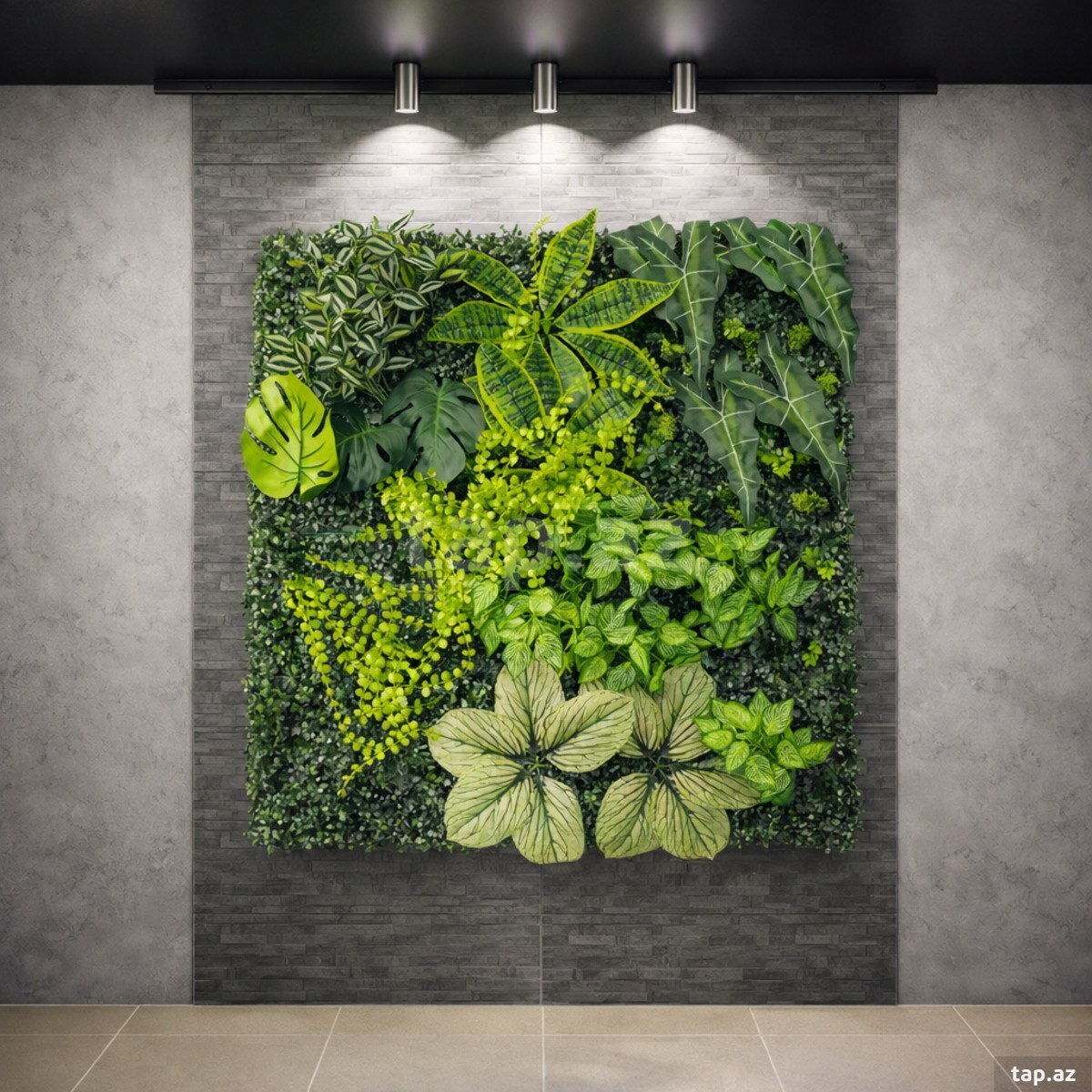  Süni yaşıllıq divar paneli 615s, plastik, 100x100 sm  (2)