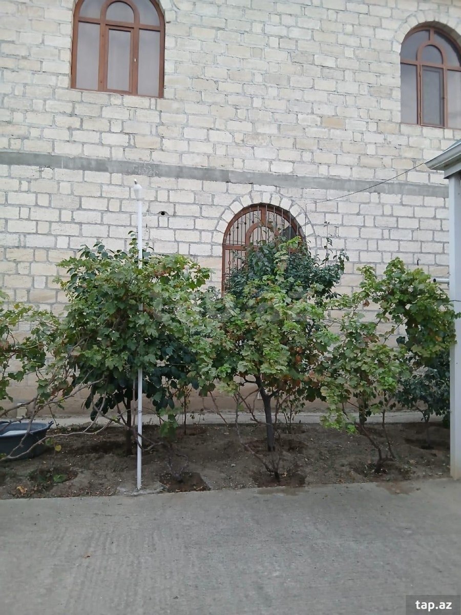 Villa, Gəncə ş.