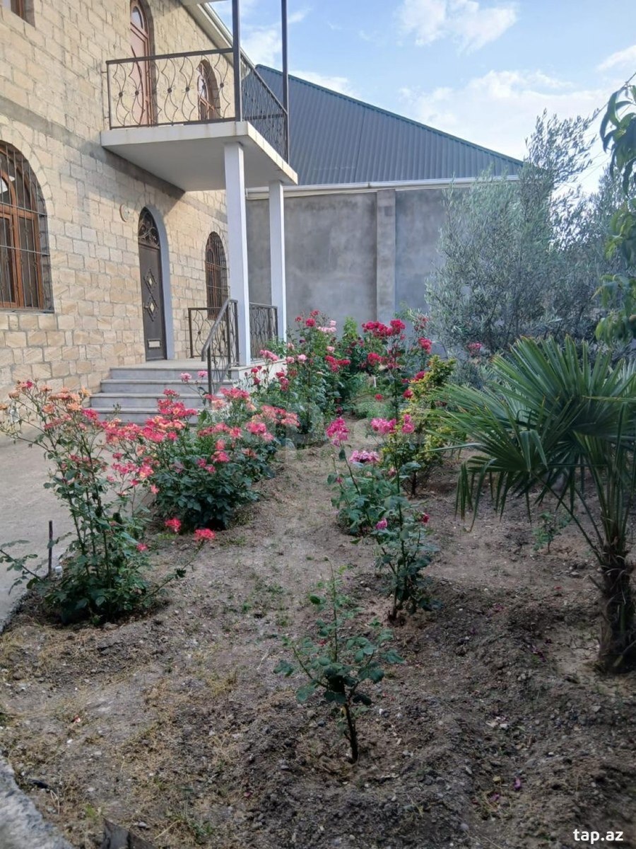 Villa, Gəncə ş.