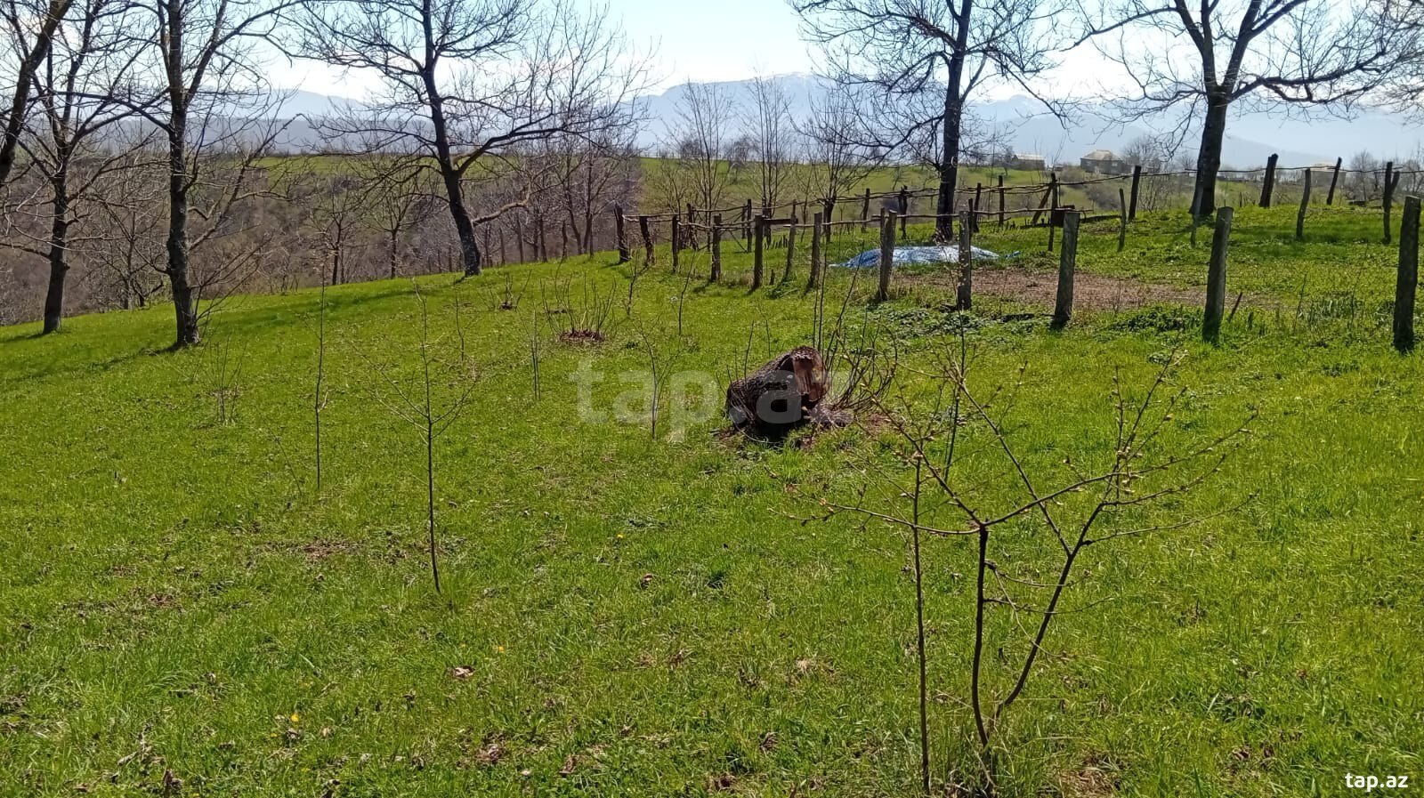 40 sot torpaq sahəsi, Quba r. (4)