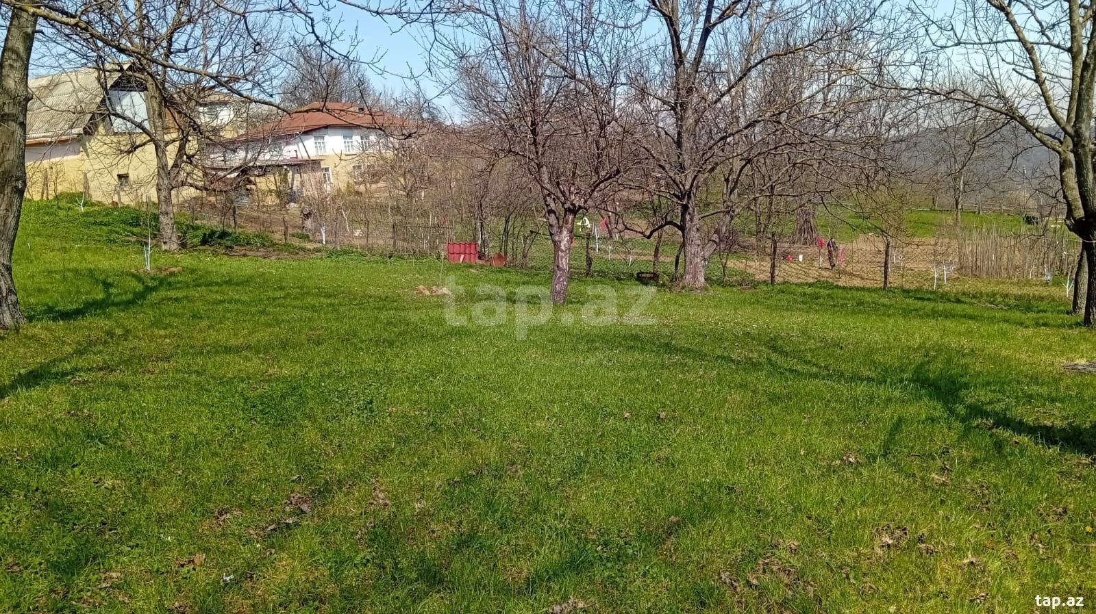 40 sot torpaq sahəsi, Quba r. (5)