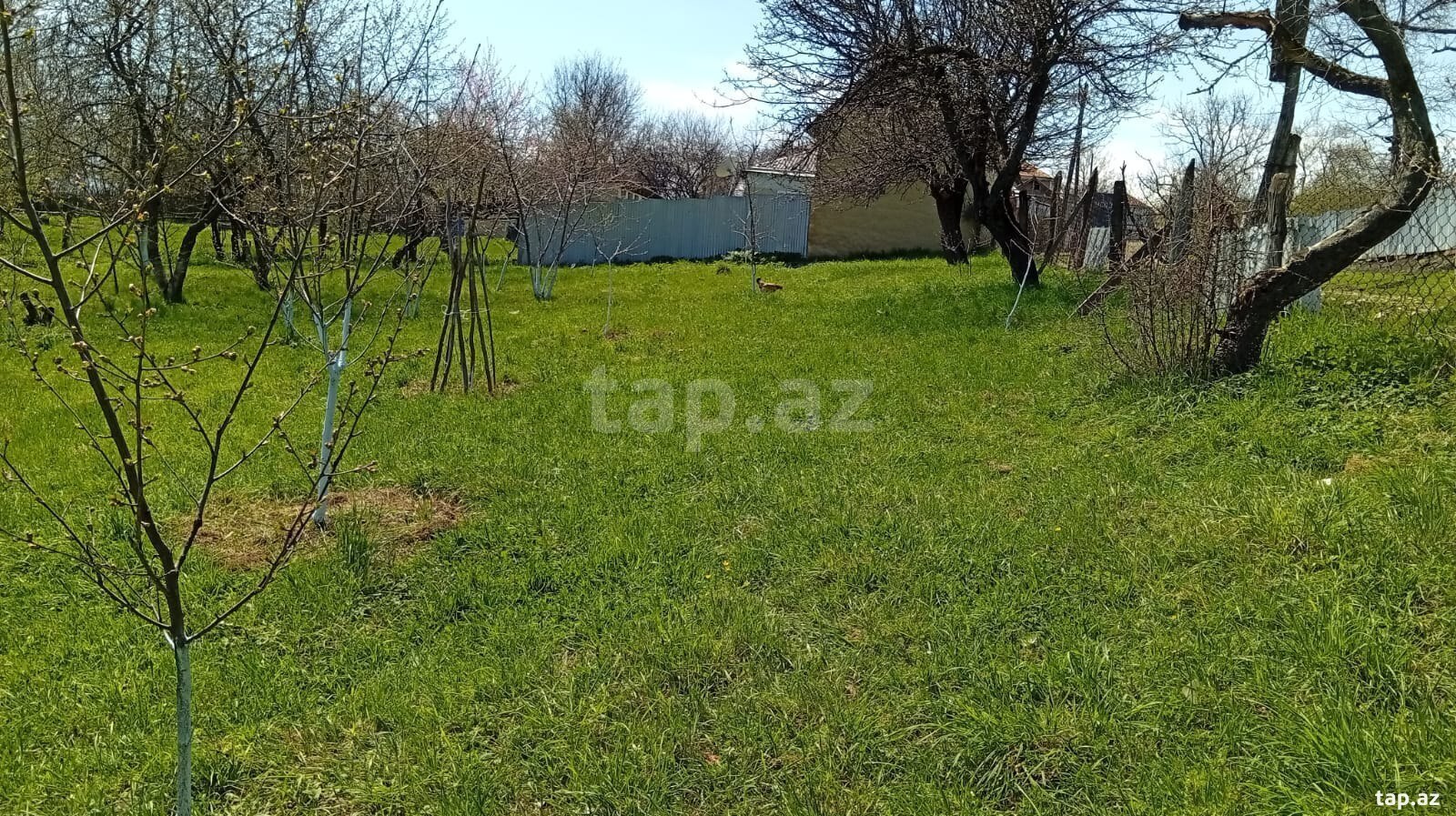 40 sot torpaq sahəsi, Quba r.