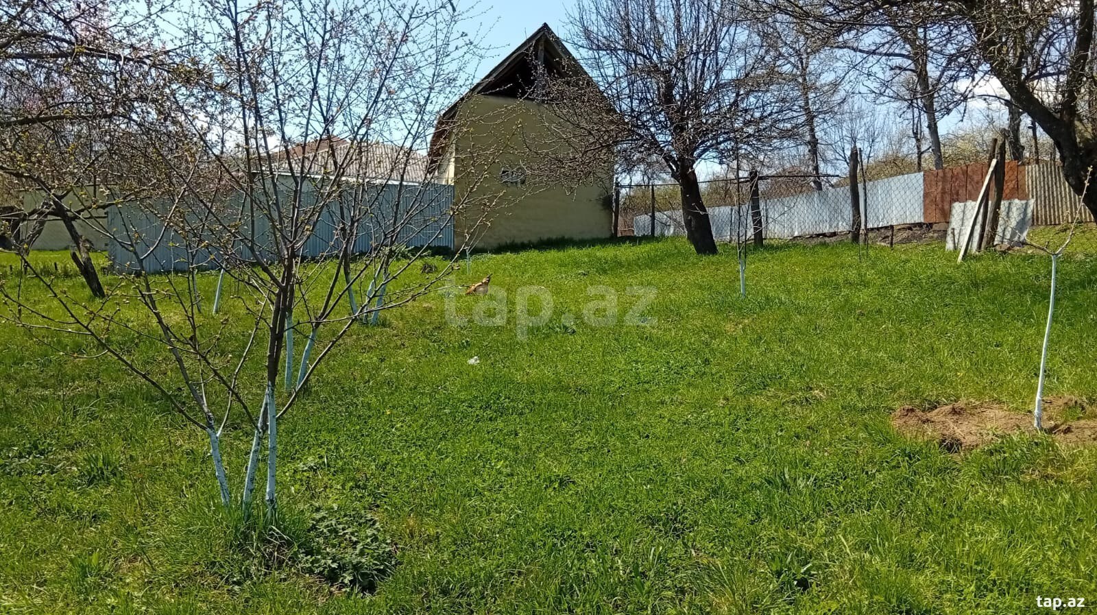 40 sot torpaq sahəsi, Quba r. (2)
