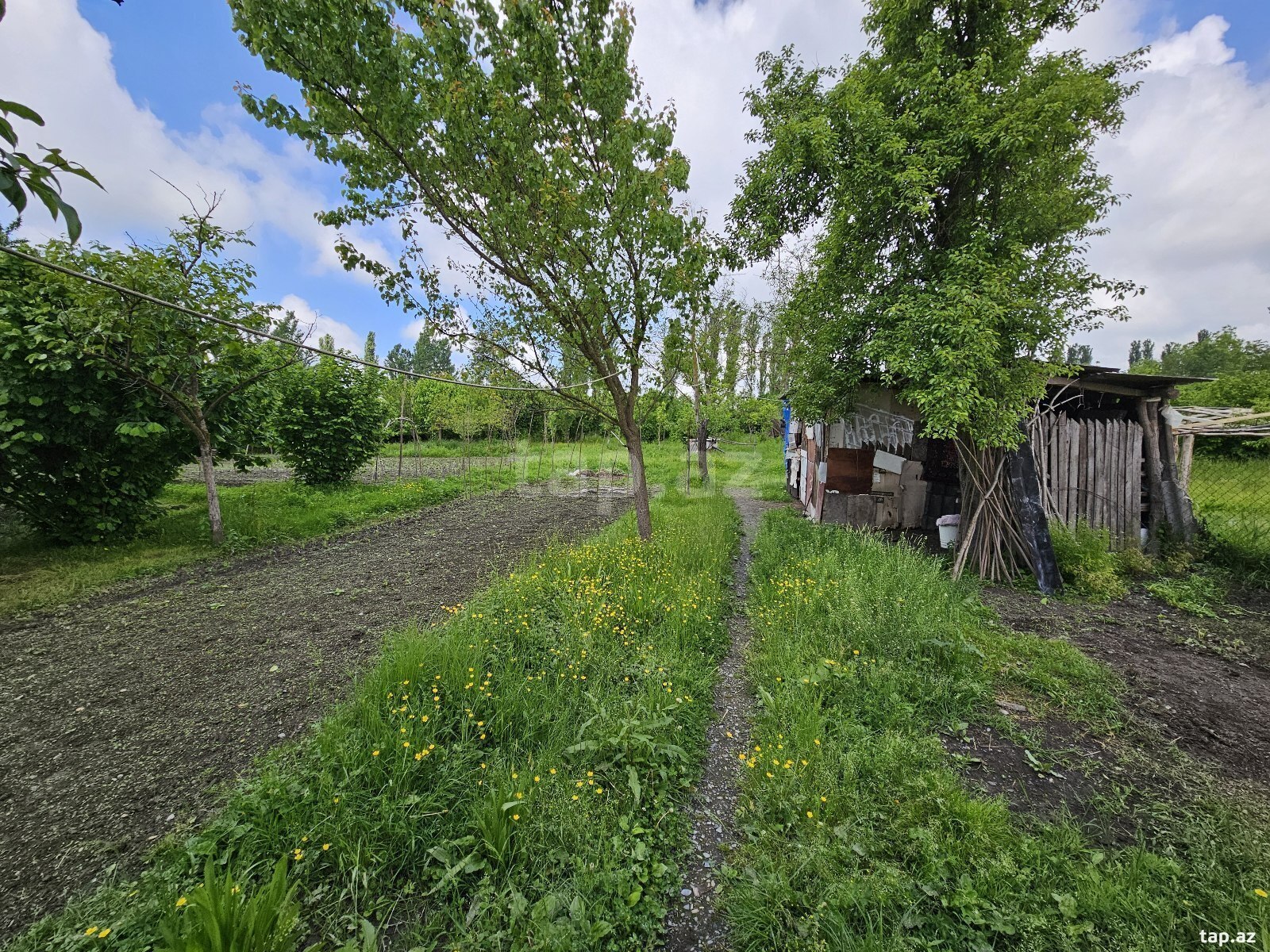 Həyət evi, Balakən r.