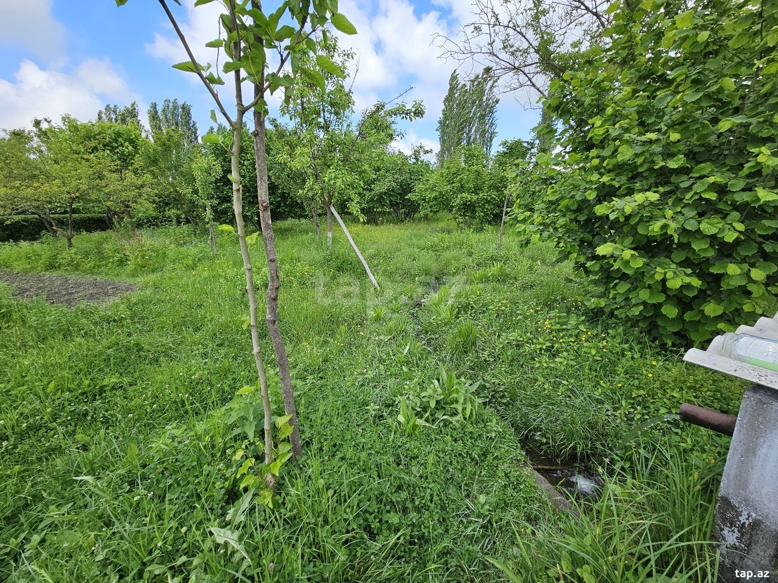 Həyət evi, Balakən r.