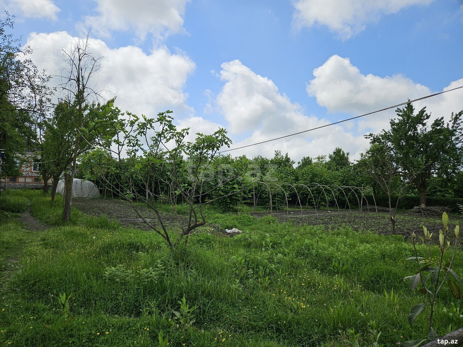 Həyət evi, Balakən r.