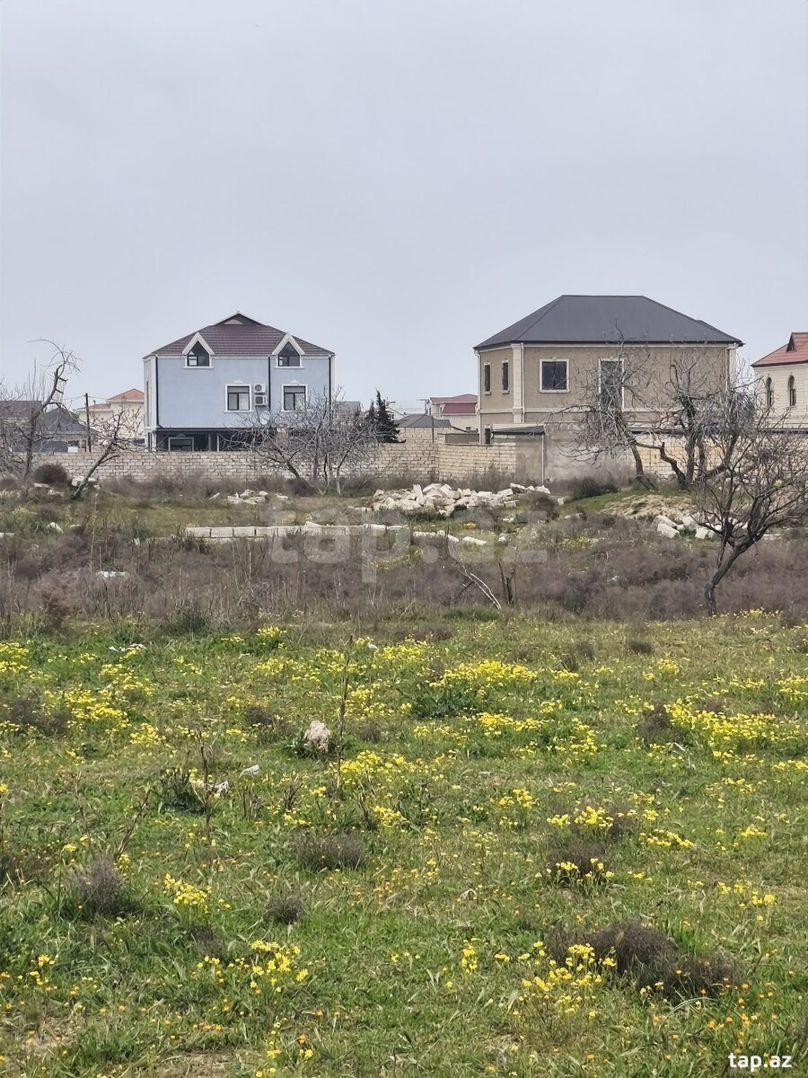 12 sot torpaq sahəsi, Ləhic bağları