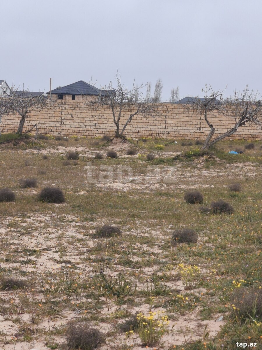 12 sot torpaq sahəsi, Ləhic bağları (5)