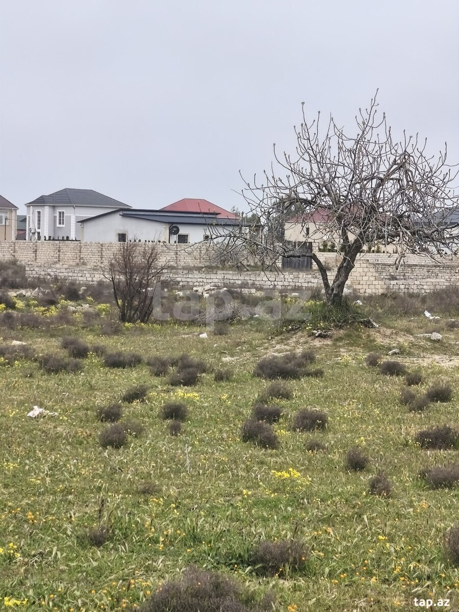 12 sot torpaq sahəsi, Ləhic bağları (3)
