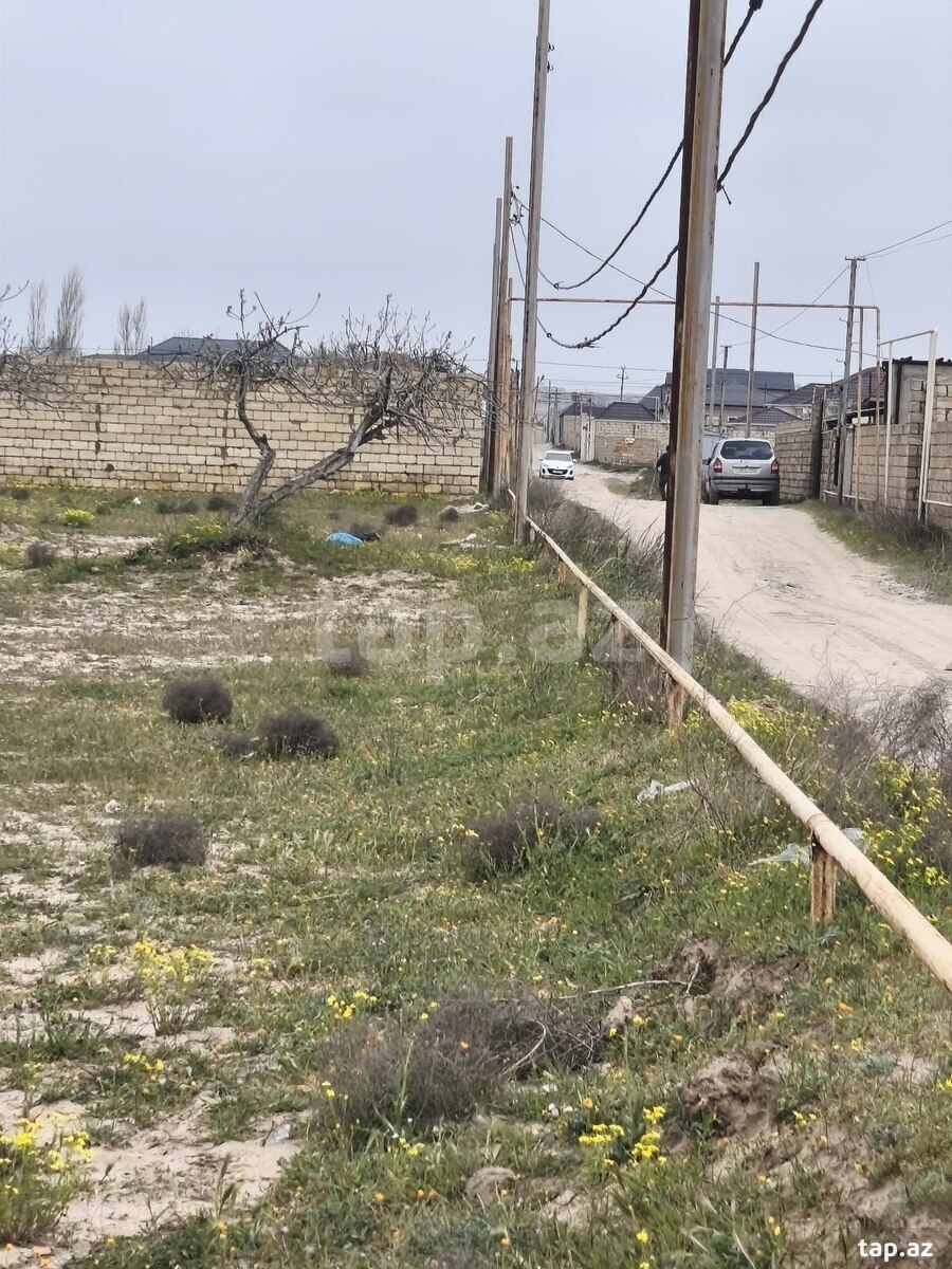 12 sot torpaq sahəsi, Ləhic bağları (4)