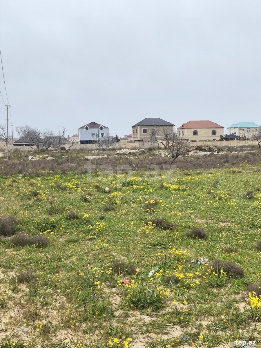 12 sot torpaq sahəsi, Ləhic bağları (8)