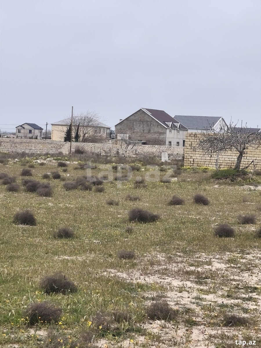 12 sot torpaq sahəsi, Ləhic bağları (6)