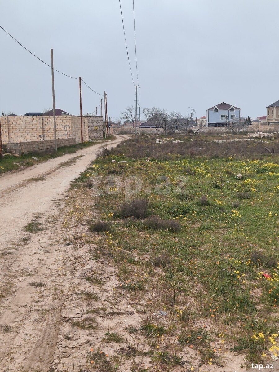 12 sot torpaq sahəsi, Ləhic bağları (9)