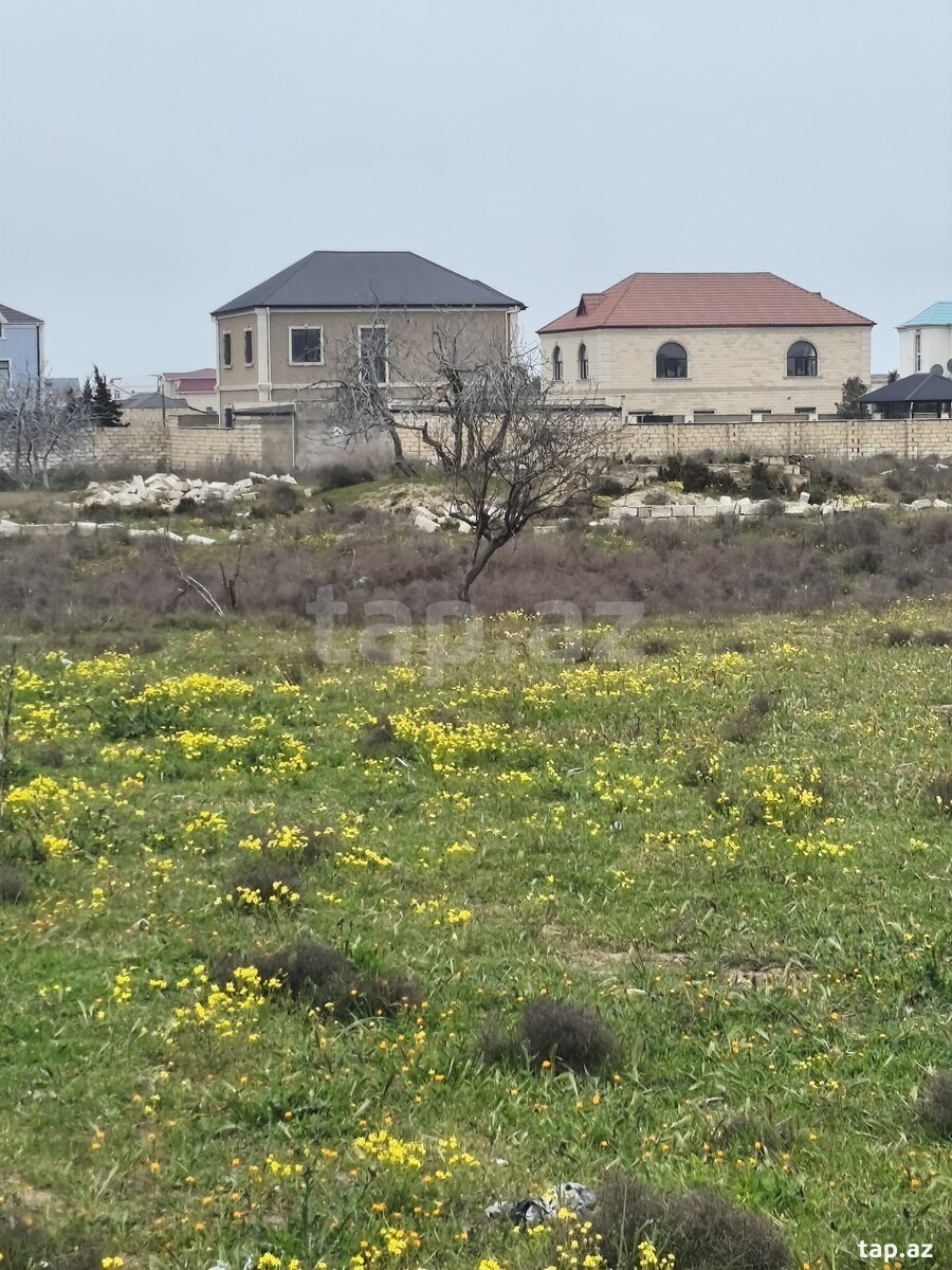 12 sot torpaq sahəsi, Ləhic bağları (11)