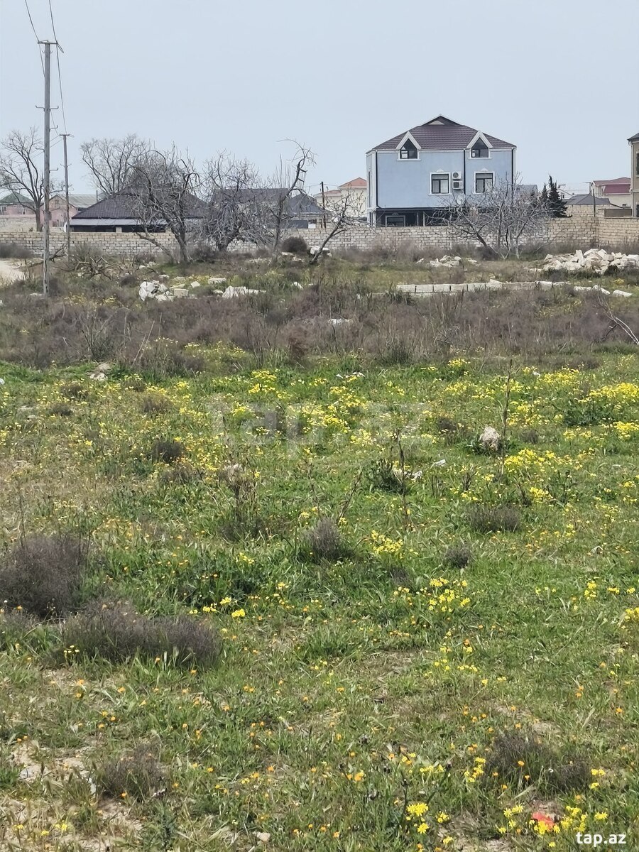 12 sot torpaq sahəsi, Ləhic bağları (12)