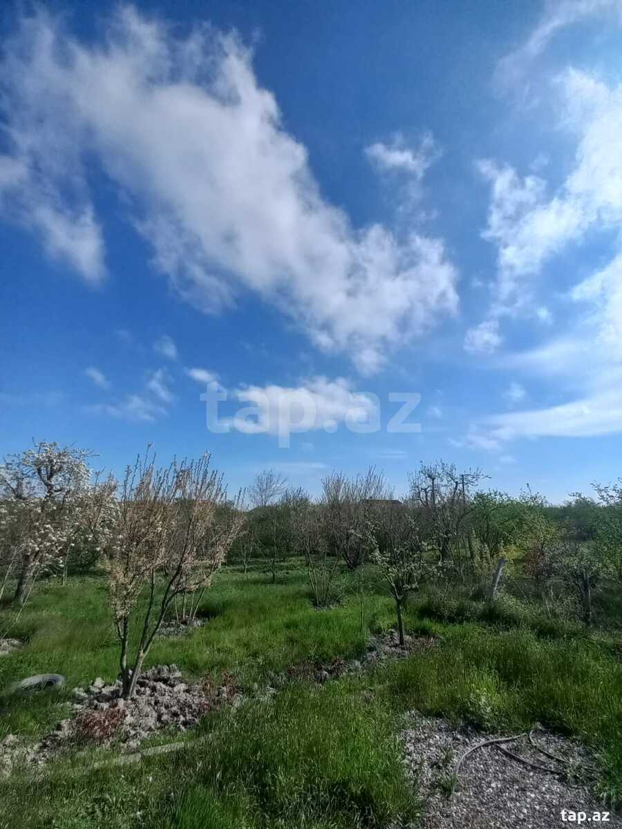 Həyət evi, Xaçmaz ş.