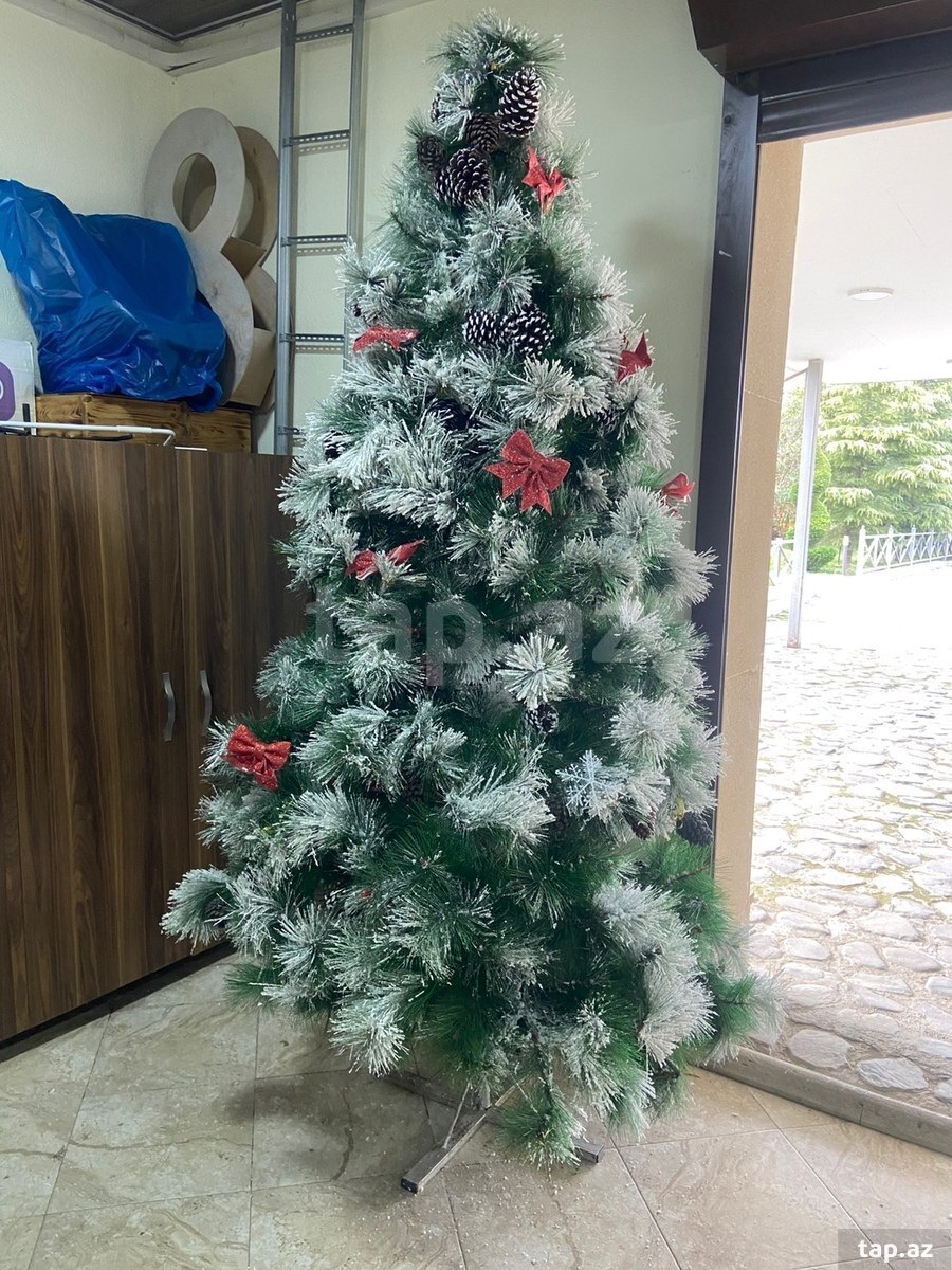 Yeni il ağacı