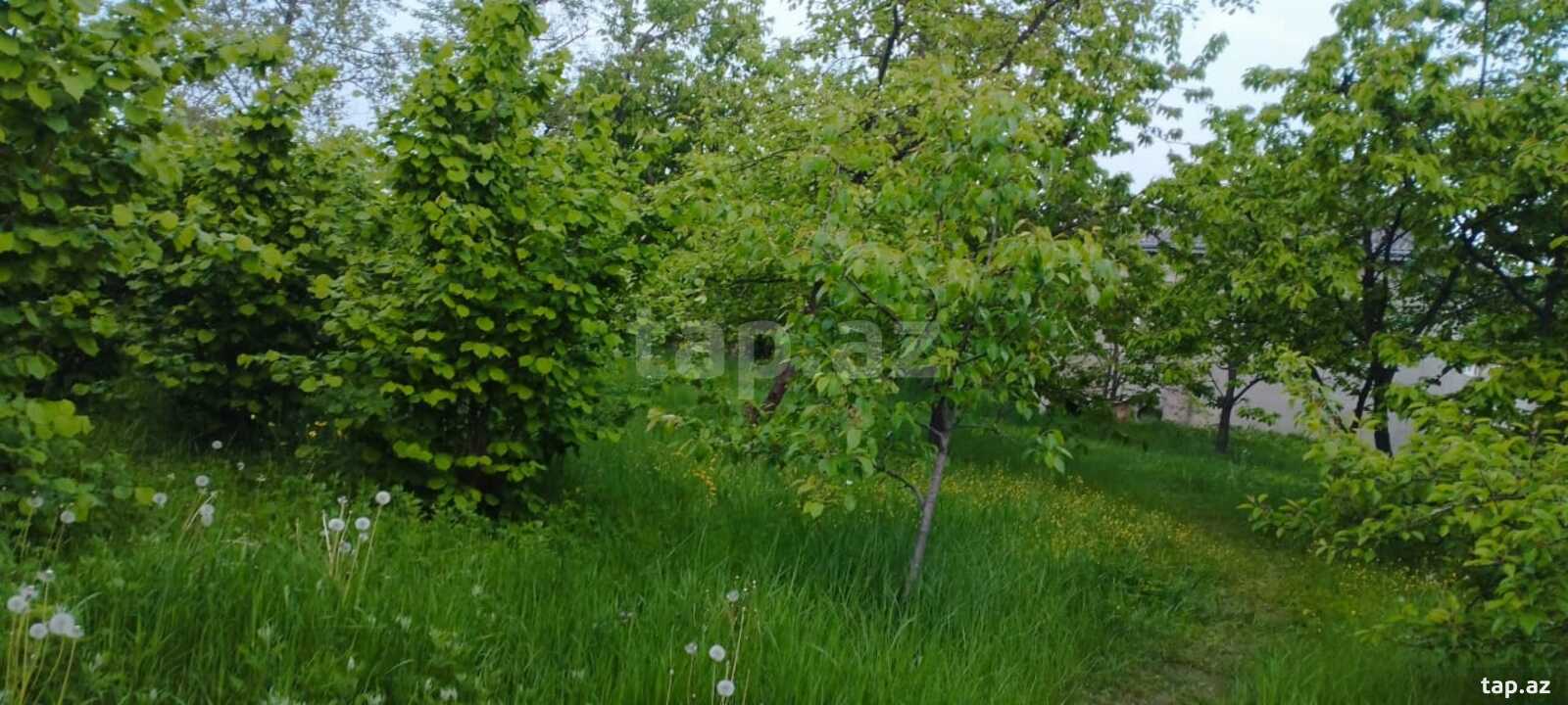 Həyət evi kirayə verilir, Quba r.