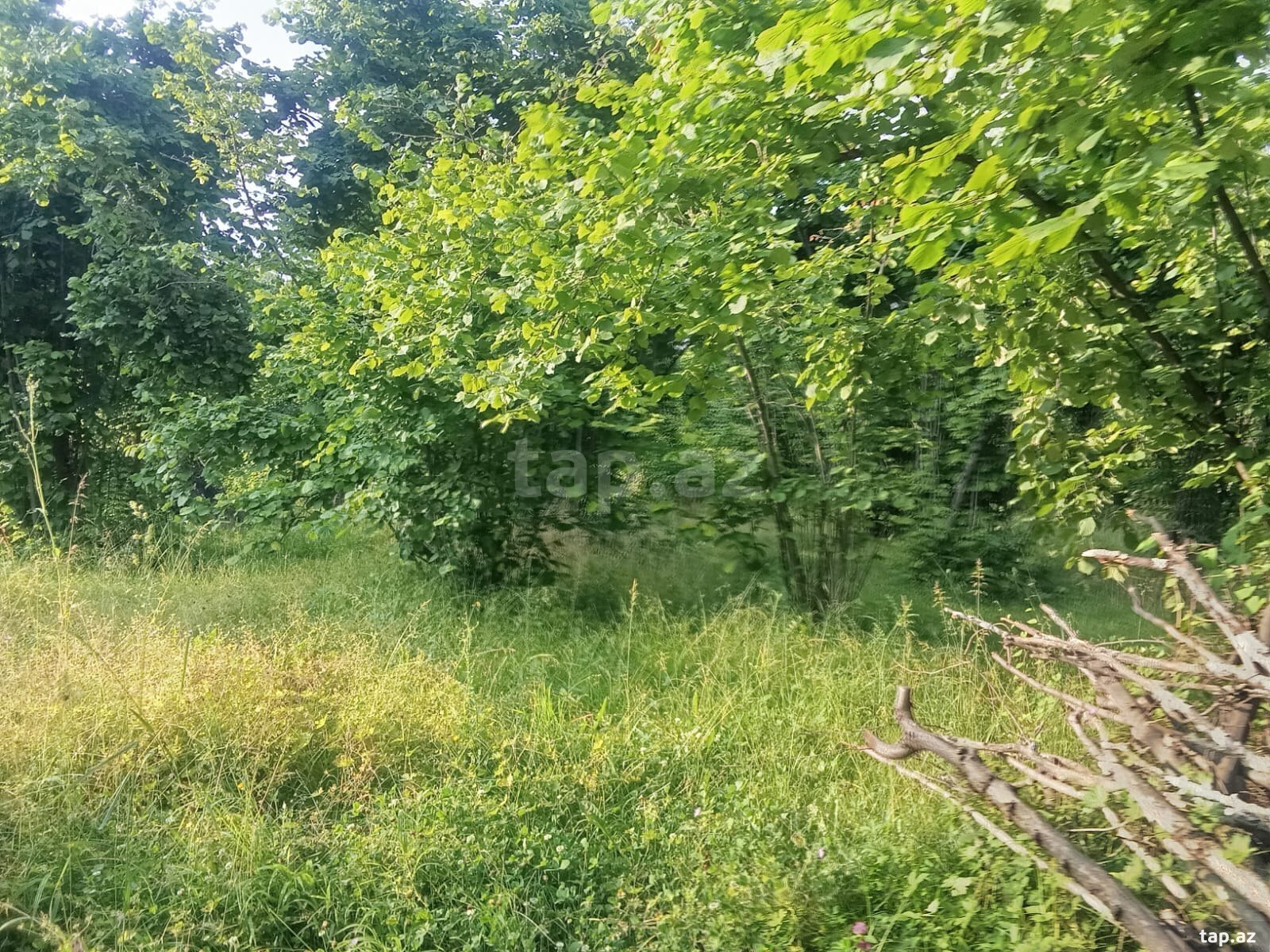 Həyət evi, Şəki ş. (29)