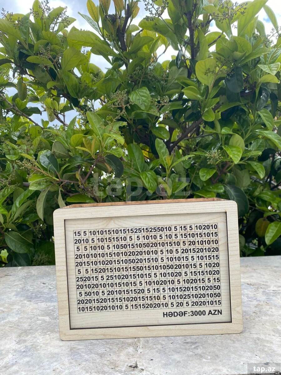 Hədəf qutusu (2)