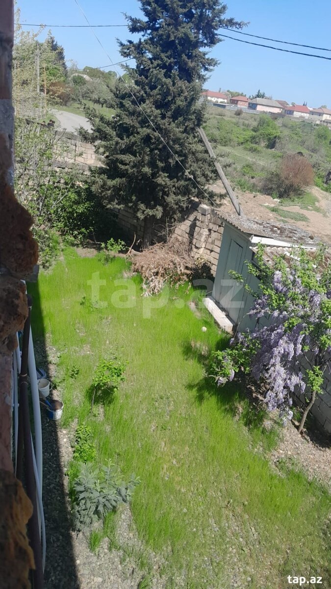 Həyət evi, Masallı r.