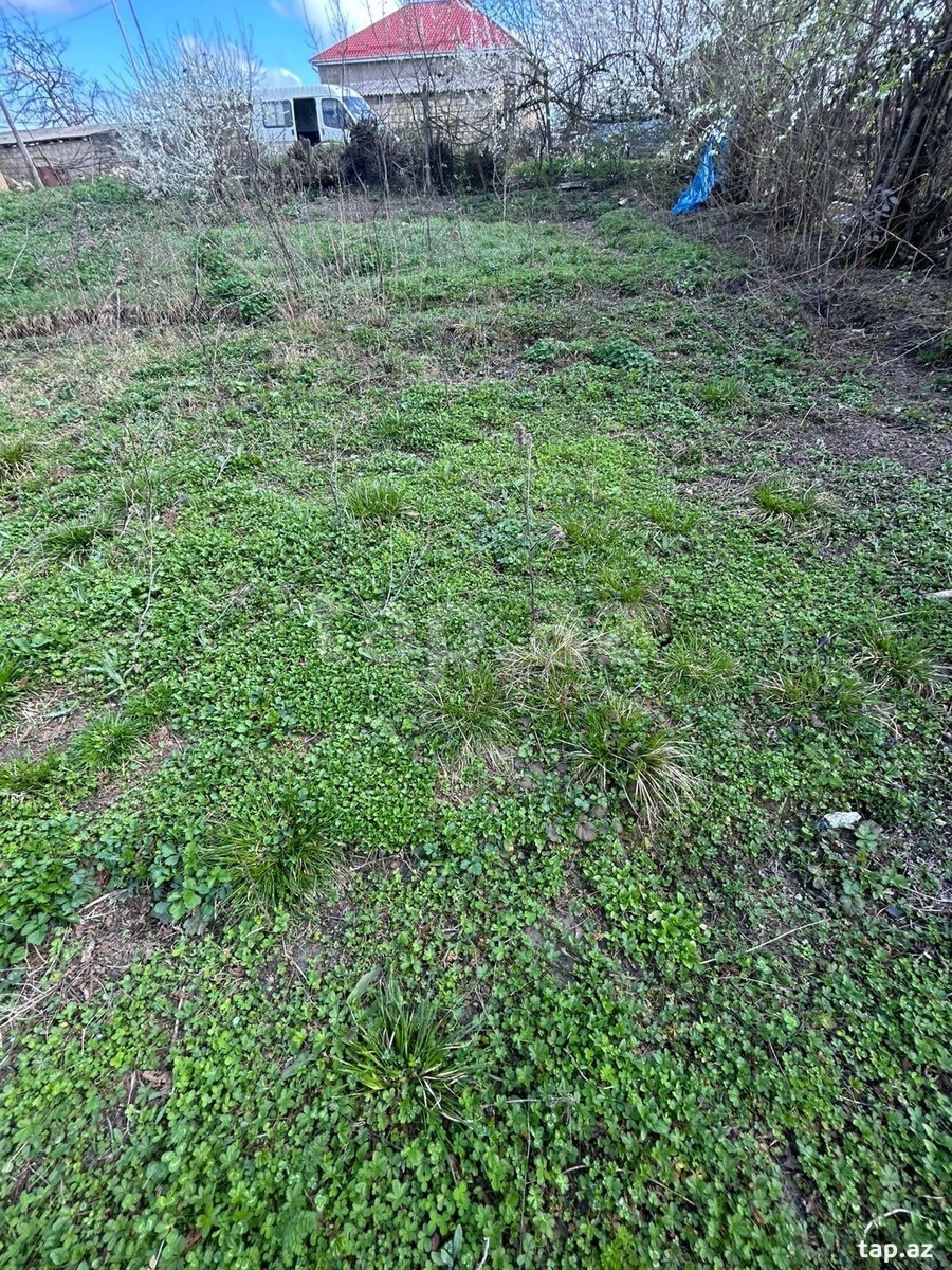 21 sot torpaq sahəsi, Qusar r. (3)