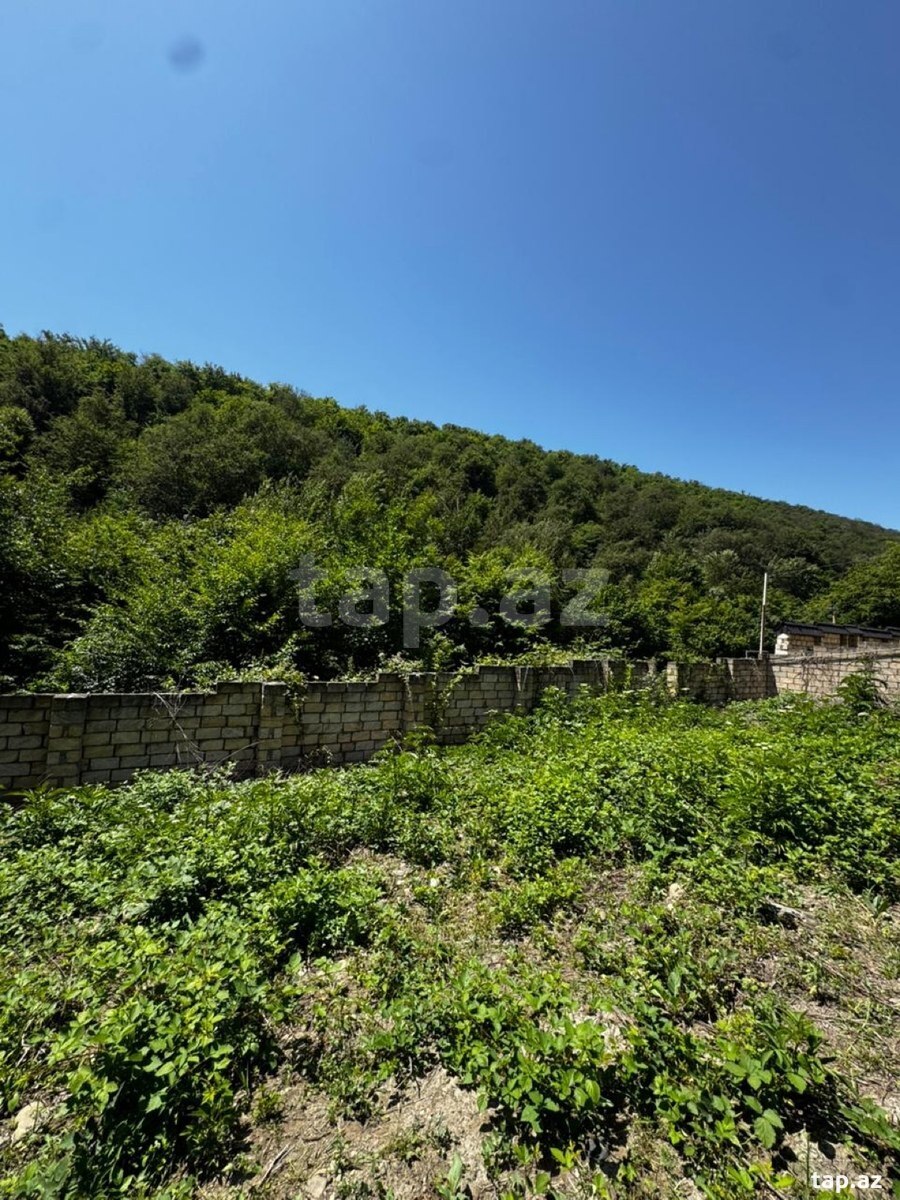 21 sot torpaq sahəsi, Qusar r. (5)