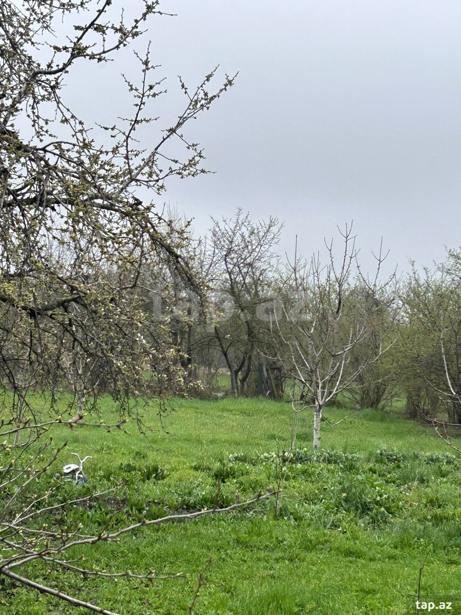 21 sot torpaq sahəsi, Qusar r.