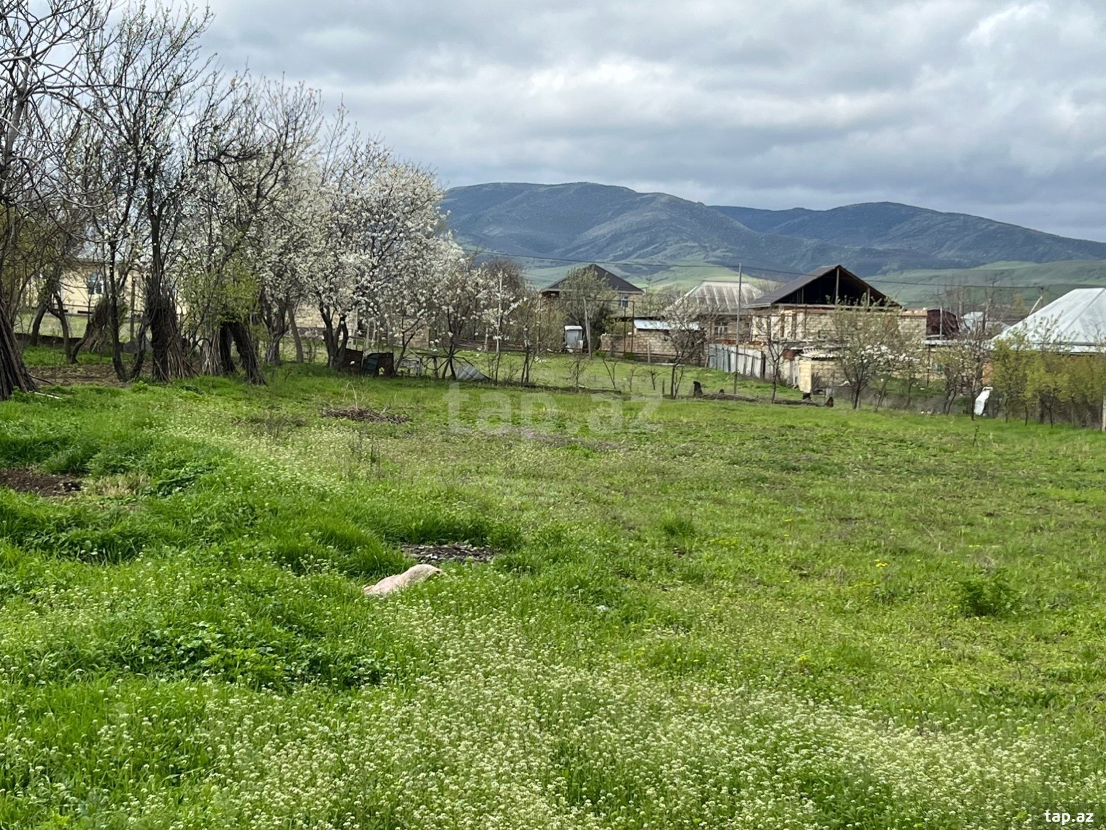 10 sot torpaq sahəsi, Tovuz r.